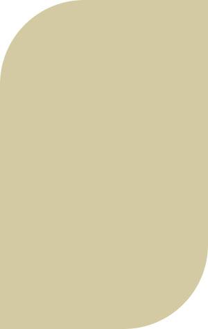 Plastic Color - Beige 