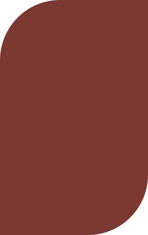 Plastic Color - Brown 