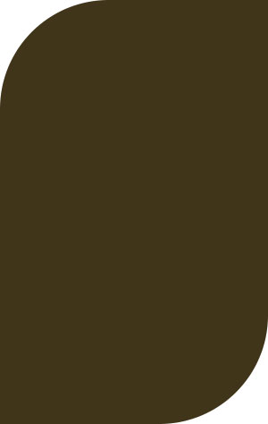 Plastic Color - Dark Brown 