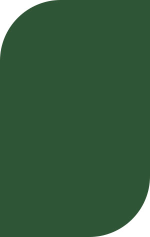 Plastic Color - Forest Green 