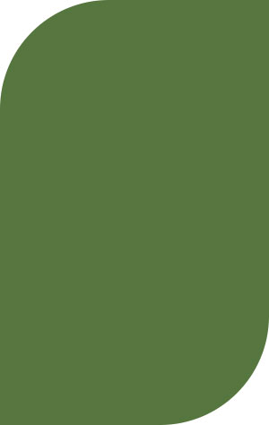 Plastic Color - Green