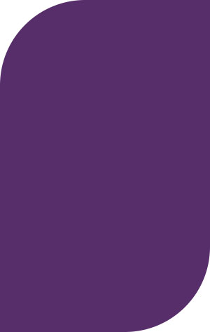 Plastic Color - Plum 