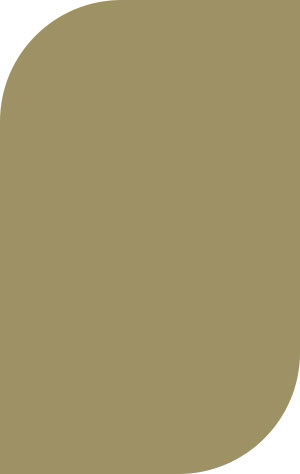 Post and Accent Color - Sand 