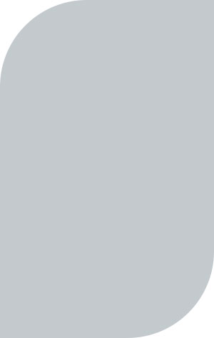 Post and Accent Color - Silver 