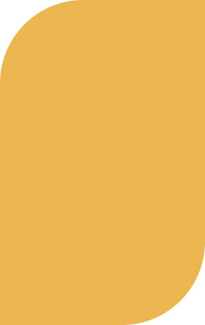 Plastic Color - Tropical Yellow 