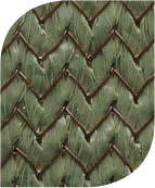 Shade Fabric Color - Olive 