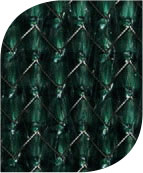 Shade Fabric Color - Rainforest 