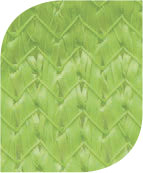 Shade Fabric Color - Zesty Lime 