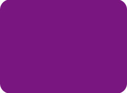 Proprietary Coating Color - Purple 