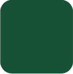 Textured Polyethylene Color - Green